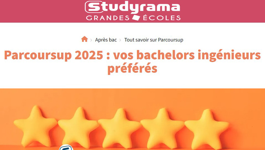 bachelor